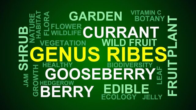 Genus Ribes Word Cloud