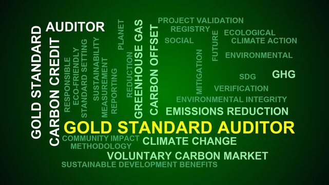 Gold Standard Auditor Word Cloud