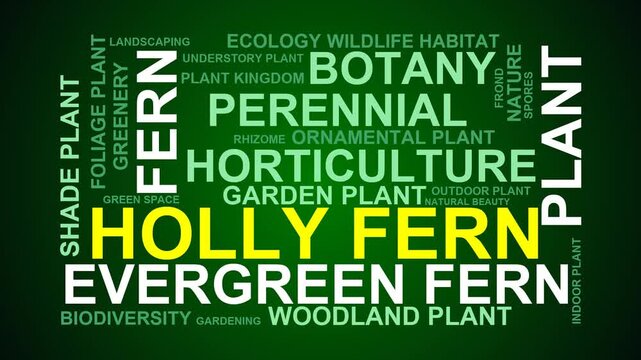 Holly Fern Word Cloud
