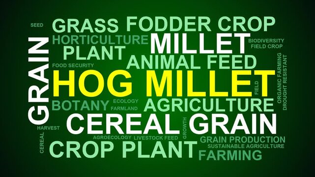 Hog Millet Word Cloud