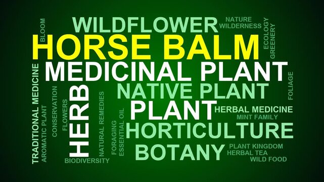 Horse Balm Word Cloud