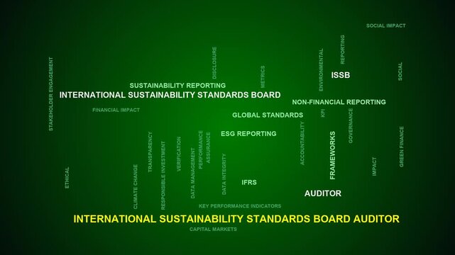 International Sustainability Standards Board Auditor Word Cloud