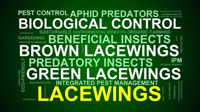 Lacewings Word Cloud