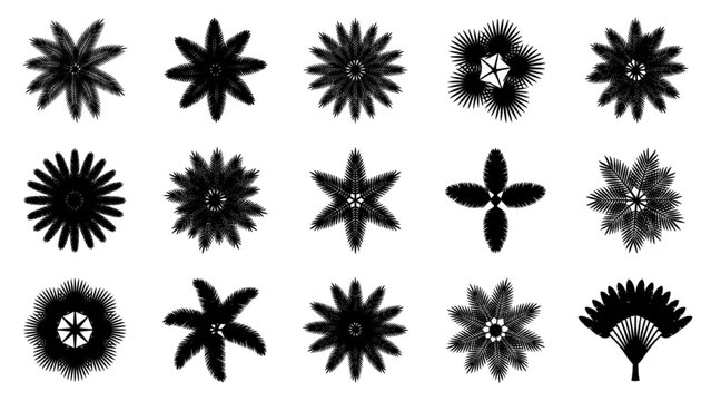 Collection of Decorative Floral and Geometric Silhouette Design Elements