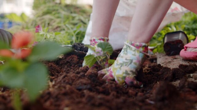Happy Mother And Son Gardening Together Planting Flowers In Yard Wearing Gloves Outdoor Family Lifestyle Scene Full Of Joy And Bonding Perfect For Advertising Gardening And Parenting Content