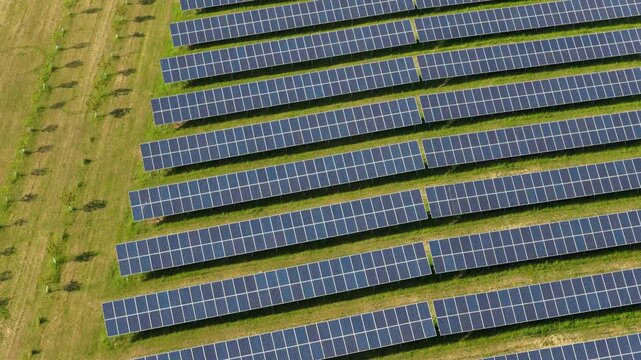 Overhead aerial view of solar panel farm rows with an adjacent orchard tree line on green grass, geometric pattern visible from above, Moravia, Czech Republic.