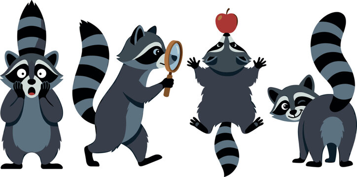 Cute Raccoon Character Pose Set Featuring Shocked Face Magnifying Glass Investigation Balancing Apple and Playful Looking Back Positions Cartoon Vector Illustration