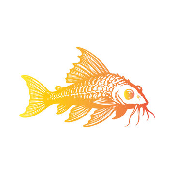 Vibrant Fish Gradient Art