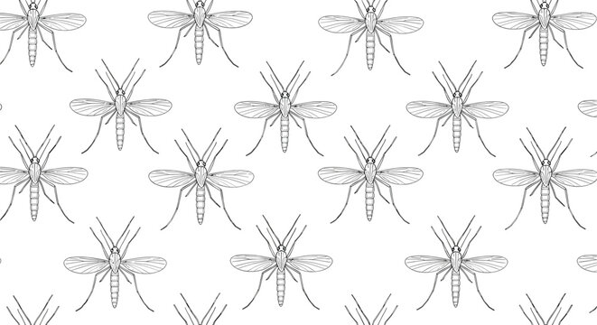 Seamless pattern of detailed hand drawn black and white mosquito sketches isolated on a white background.