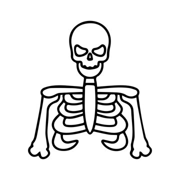 Human skeleton torso icon