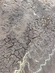 A dried-up puddle on the ground. The dry mud has cracked. © Марина Дубьяга