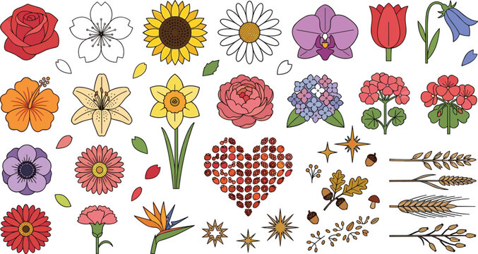 Botanical flower collection featuring rose, sunflower, orchid, daisy, tulip, hydrangea and wildflowers with seasonal floral elements