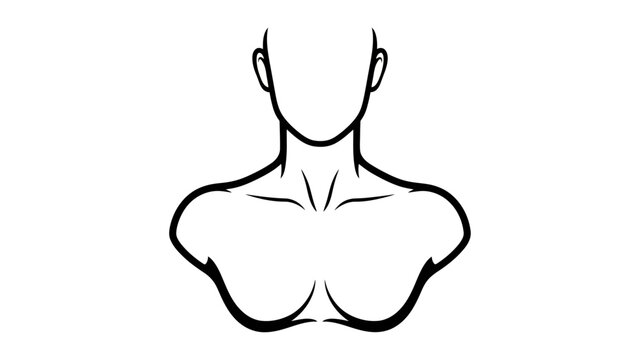Line Art Drawing of a Muscular Male Torso and Shoulders, Chest Muscles, Neck, and Collarbones