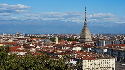 Fototapeta premium Panoramic cityscape with historic tower overlooking urban landscape under clear blue sky