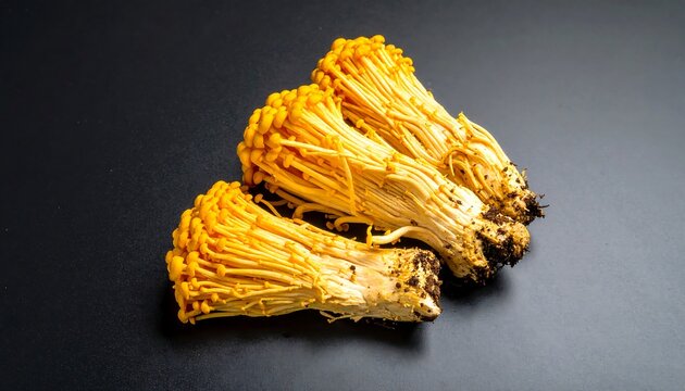 Golden enoki mushrooms clustered on a dark surface, their slender stems radiating upwards, a vibrant splash of color