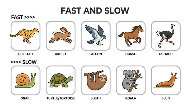 Various animals move at different speeds in a comparative illustration.