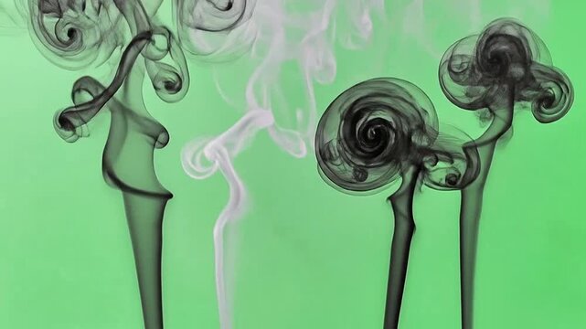 Abstract plumes of black and white smoke rise against a vibrant green background