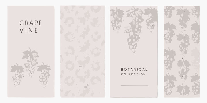 Grape vine and leaf pattern with neutral tones presented as a repeating botanical design grapevine