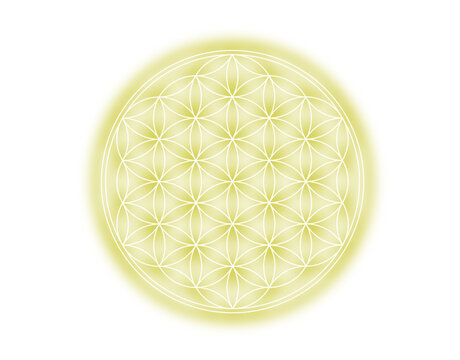 フラワーオブライフ　Sacred Geometry Flower of Life Vector Illustration
