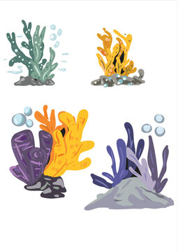 Hand Drawn Coral Collection, Seaweed, Collection with Multicolored Colar Reefs, vibrant colors of a healthy coral polyp colony thriving in a tropical ocean environment