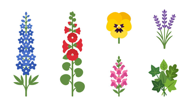 Collection of Colorful Garden Flower and Leaf Graphic Illustrations.