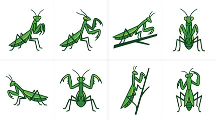 Green Praying Mantis Insects Various Poses. © Bambang