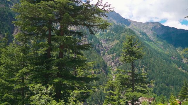 Scenic Himalayan mountain views during the summer season as seen in Pangi Valley, Himachal Pradesh, India. Natural view of the Himalayan mountain range during the summer season in Himachal Pradesh