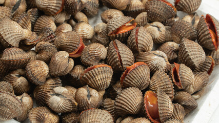 Full frame of fresh live blood cockles texture revealing bright red meat inside the shells. © Rim Light