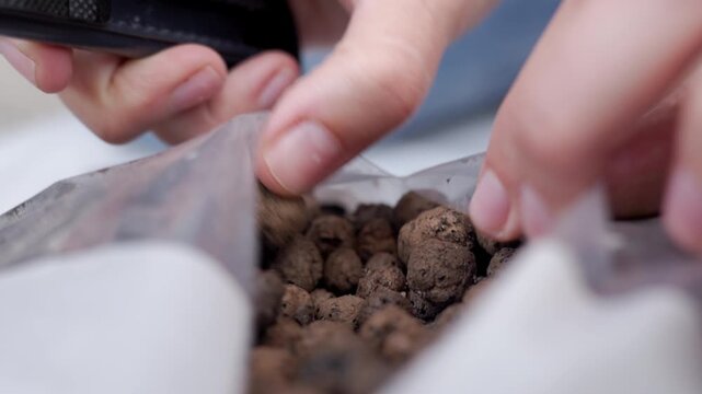 Hands cut with utility knife and open a plastic bag of clay pebbles for plant drainage before repotting