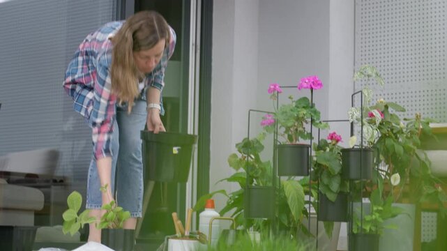 Woman prepares plants for repotting on home terrace arranging flower pots and garden tools near potted plants. Concept of home gardening and plant care.