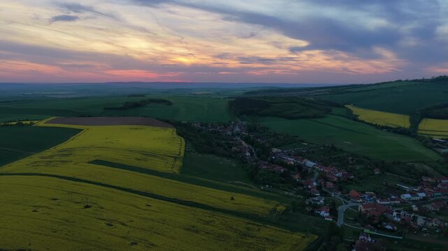 Overhead aerial view of a vivid yellow rapeseed field in full bloom with parallel tractor track lines converging to the horizon, Moravia, Czech Republic.