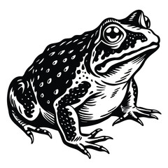 Fototapeta premium Frog toad amphibian black silhouette logo svg vector
