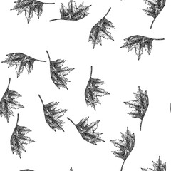 Naklejka premium seamless pattern maple leaf hand drawn. red, fall foliage maple leaf black sketch illustration