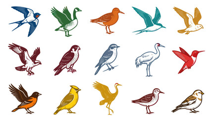 Fototapeta premium Vintage Engraving Style Birds Collection - Nature Wildlife Avian Species Set Illustration