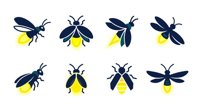 Fireflies Glow Insects Light Emitting Bugs.