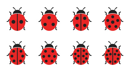 Seven red ladybugs with black spots. © pratama yudi