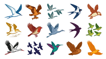 Naklejka premium Diverse Bird Collection Vector Icons - Nature, Wildlife, Ornithology Art