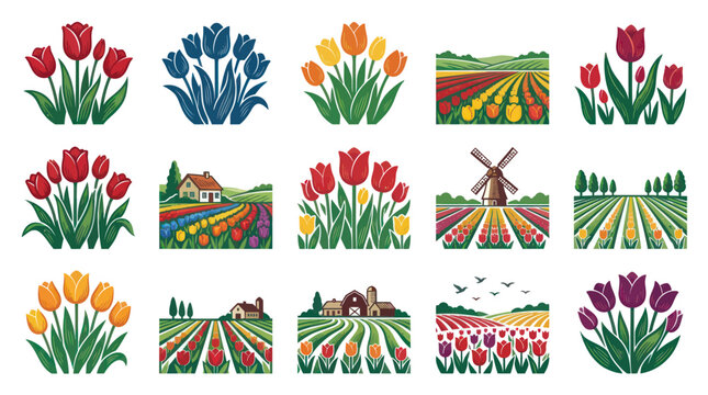 Flat Vector Illustration of Spring Tulips, Tulip Fields, and Dutch Landscape Designs Collection