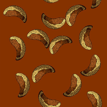 pattern snack brazil nut hand drawn. group diet, natural delicious, fresh brasil snack brazil nut vector sketch illustration