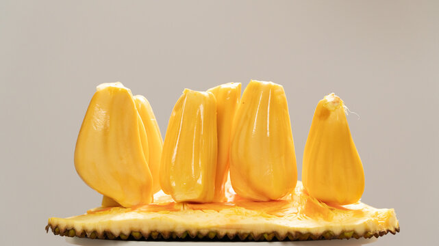 Fresh ripe yellow jackfruit bulbs arranged on a spiky rind piece isolated on studio background.