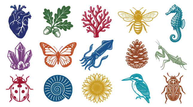 Diverse Nature  Science Icons: Heart, Bee, Seahorse, Crystals, Insects, Plants