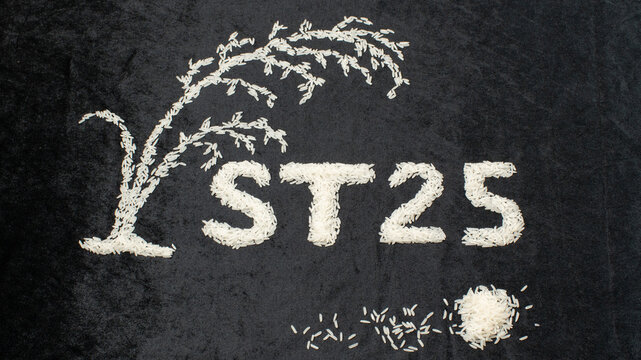 Vietnamese ST25 premium rice grains arranged in text and rice stalk shape on black background.