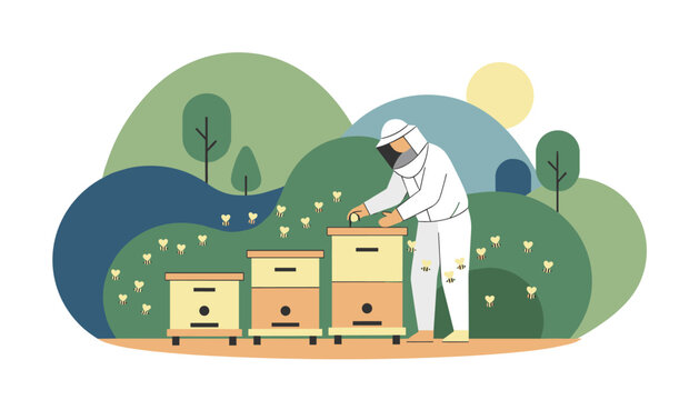 Professional beekeeper in a white protective suit manages wooden beehives in a beautiful green landscape with flying bees.