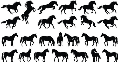 Set of black horse silhouettes in various poses flat vector illustration isolated on white background graphic elements © VactorZone