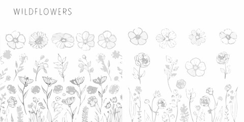 Fototapeta premium Minimalist line art wildflower collection with stems and petals on a white background botanical illustration