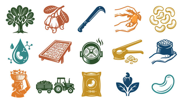 Cashew Industry Vector Icons Set. Vintage Stylized Illustrations of Cashew Processing, Harvesting  Nuts.