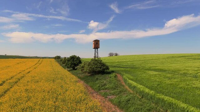 Aerial drone view of a wooden hunting tower on metal stilts at the edge of a yellow rapeseed field and green wheat field under blue sky, Moravia, Czech Republic.