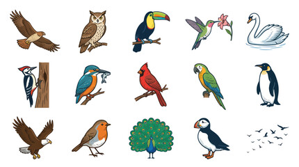 Fototapeta premium Vibrant Vector Cartoon Illustration of Diverse Bird Species Collection. Nature Wildlife Avian Set.