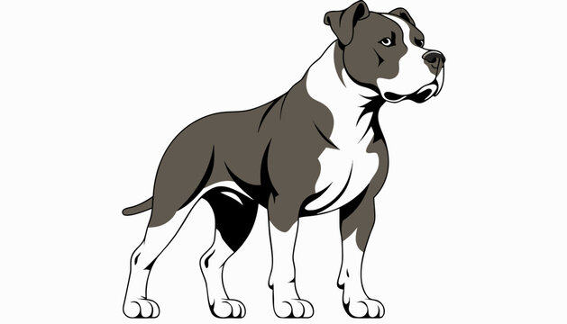 black and white boxer dog