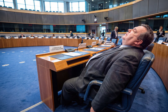 A satirical look at an imaginary politician sleeping in the plenary hall